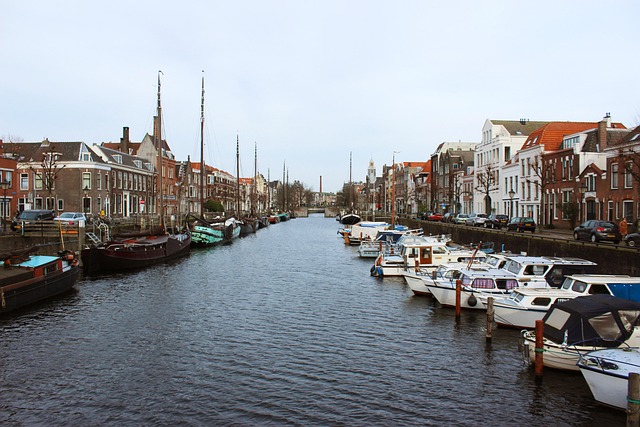 Duurzaam en toekomstbestendig wonen in de verschillende wijken van Rotterdam